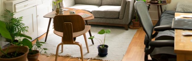 firstgomescheme_banner